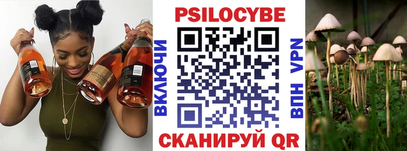 Купить закладки  Михайловск  Галлюциногенные грибы ЛСД 
